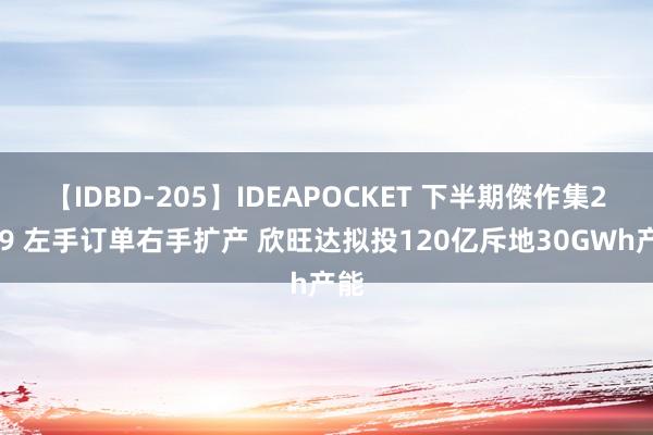 【IDBD-205】IDEAPOCKET 下半期傑作集2009 左手订单右手扩产 欣旺达拟投120亿斥地30GWh产能