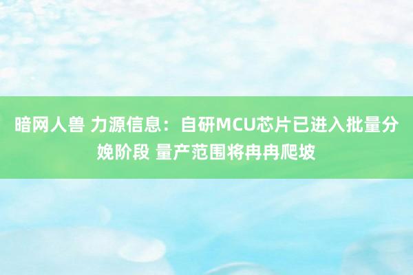 暗网人兽 力源信息：自研MCU芯片已进入批量分娩阶段 量产范围将冉冉爬坡