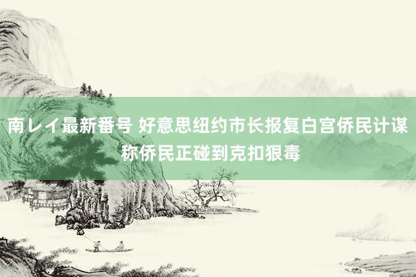 南レイ最新番号 好意思纽约市长报复白宫侨民计谋 称侨民正碰到克扣狠毒