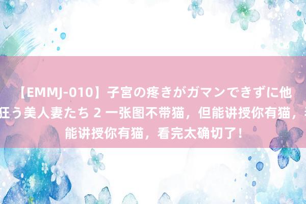 【EMMJ-010】子宮の疼きがガマンできずに他人棒でヨガリ狂う美人妻たち 2 一张图不带猫，但能讲授你有猫，看完太确切了！