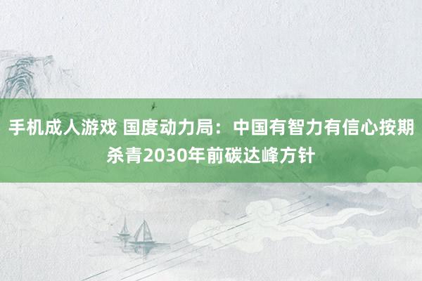 手机成人游戏 国度动力局：中国有智力有信心按期杀青2030年前碳达峰方针