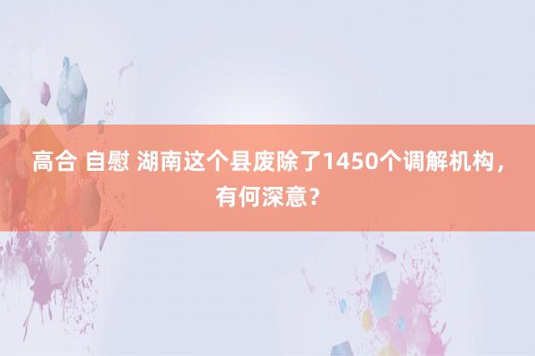 高合 自慰 湖南这个县废除了1450个调解机构，有何深意？