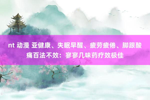 nt 动漫 亚健康、失眠早醒、疲劳疲倦、脚跟酸痛百法不效：寥寥几味药疗效极佳