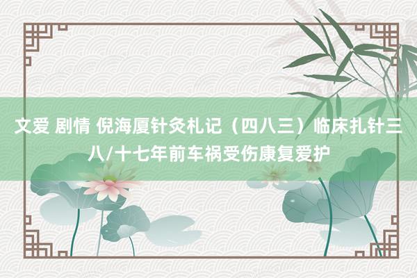 文爱 剧情 倪海厦针灸札记（四八三）临床扎针三八/十七年前车祸受伤康复爱护