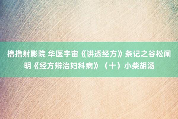 撸撸射影院 华医宇宙《讲透经方》条记之谷松阐明《经方辨治妇科病》（十）小柴胡汤