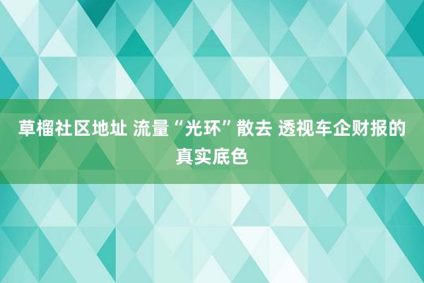 草榴社区地址 流量“光环”散去 透视车企财报的真实底色