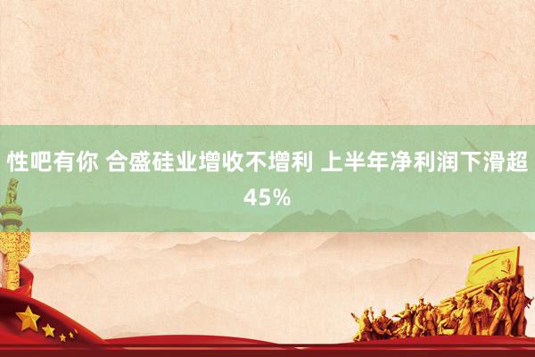 性吧有你 合盛硅业增收不增利 上半年净利润下滑超45%