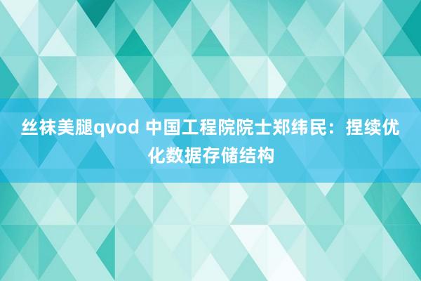 丝袜美腿qvod 中国工程院院士郑纬民：捏续优化数据存储结构