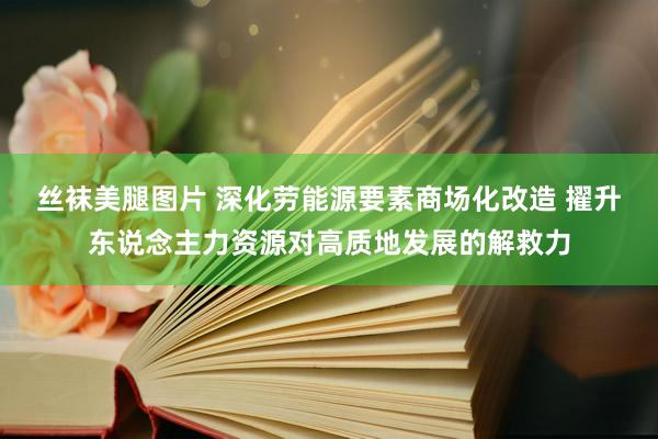 丝袜美腿图片 深化劳能源要素商场化改造 擢升东说念主力资源对高质地发展的解救力