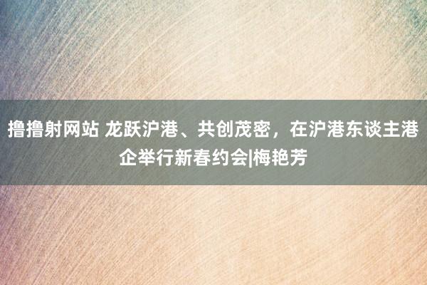 撸撸射网站 龙跃沪港、共创茂密，在沪港东谈主港企举行新春约会|梅艳芳