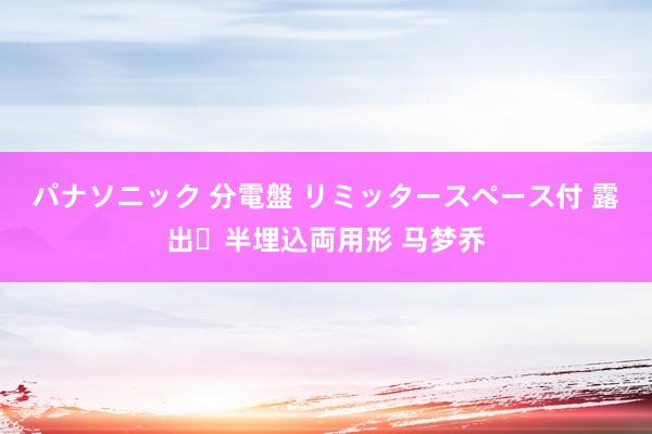 パナソニック 分電盤 リミッタースペース付 露出・半埋込両用形 马梦乔