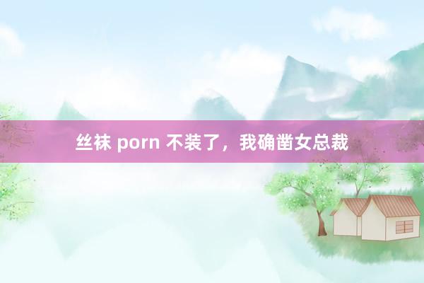 丝袜 porn 不装了，我确凿女总裁